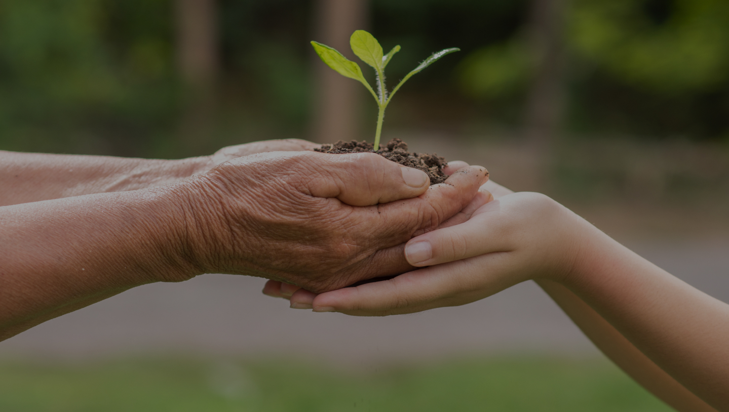 How to optimize the performance of your wood stove and use fewer pellets