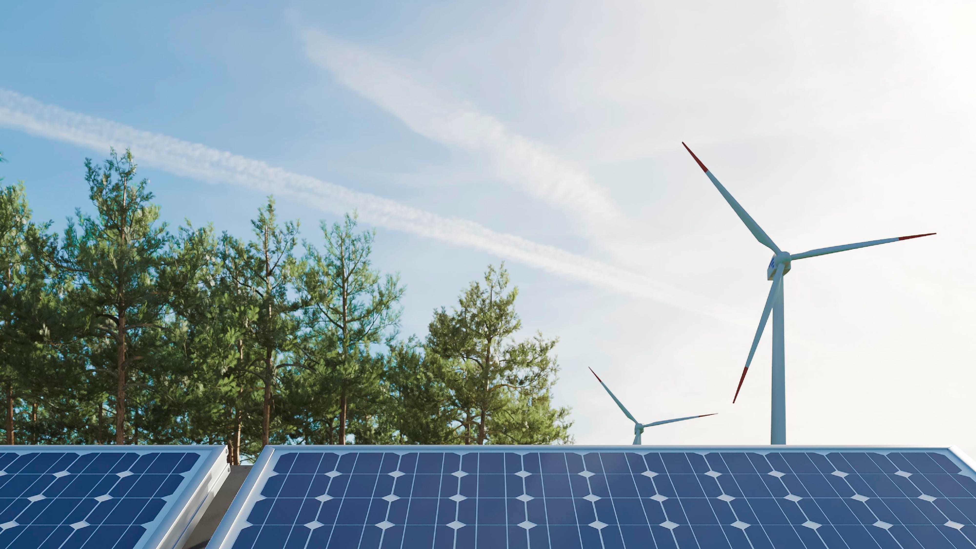 Renewable energy: investment or expense?